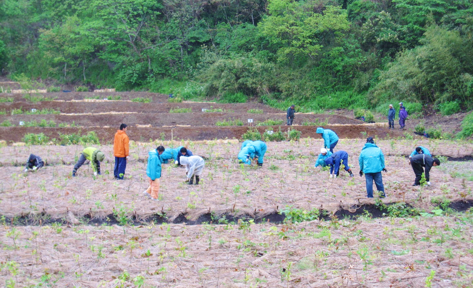 湘南国際村IMG_3643 (2).jpg